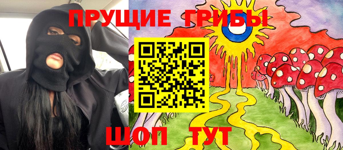 Галлюциногенные грибы Psilocybine cubensis Волгодонск