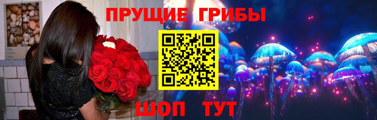 Волгодонск  Галлюциногенные грибы ЛСД  Вход с VPN 
