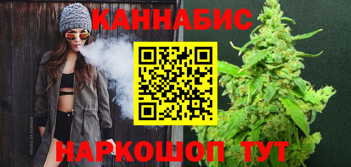 Бошки Шишки план Волгодонск